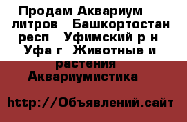 Продам Аквариум 100 литров - Башкортостан респ., Уфимский р-н, Уфа г. Животные и растения » Аквариумистика   